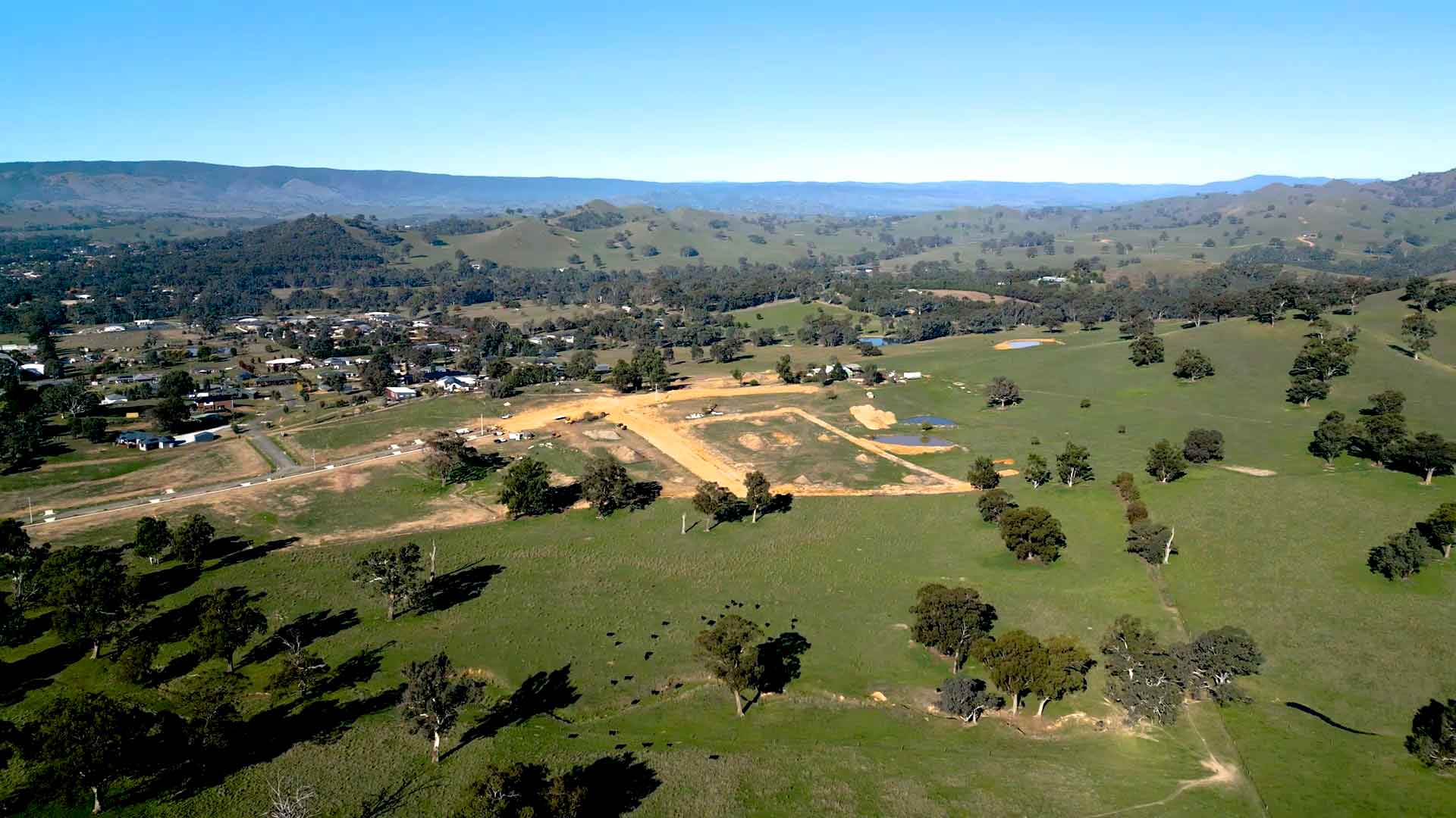 Red Gum Views